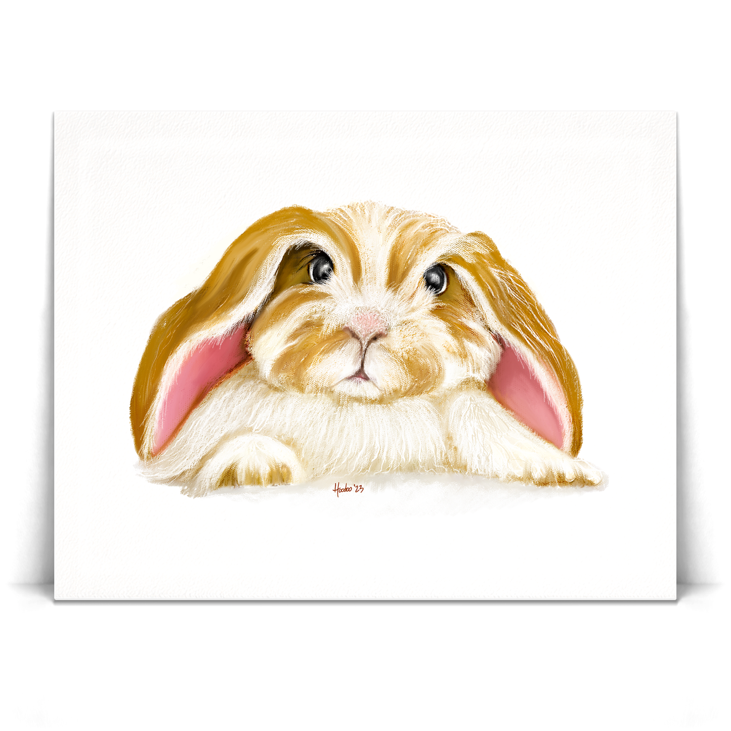Angora