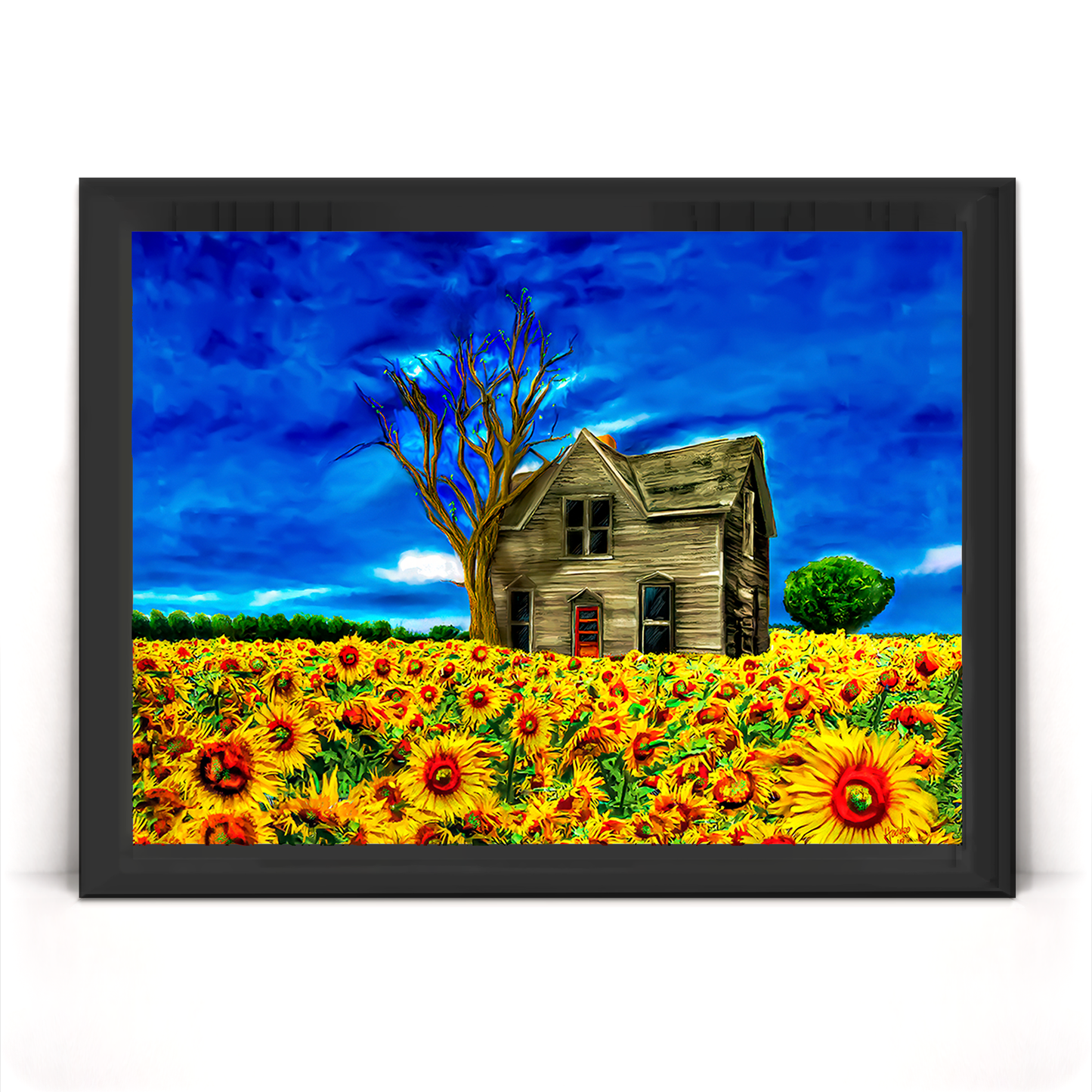 Adopted Home