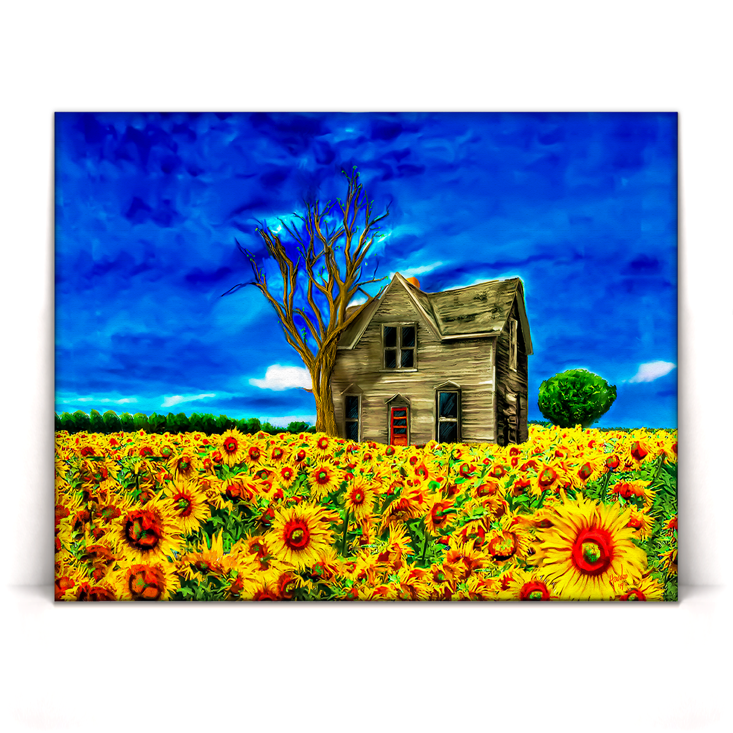 Adopted Home