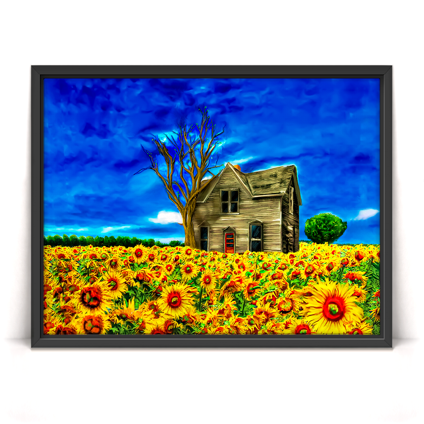 Adopted Home