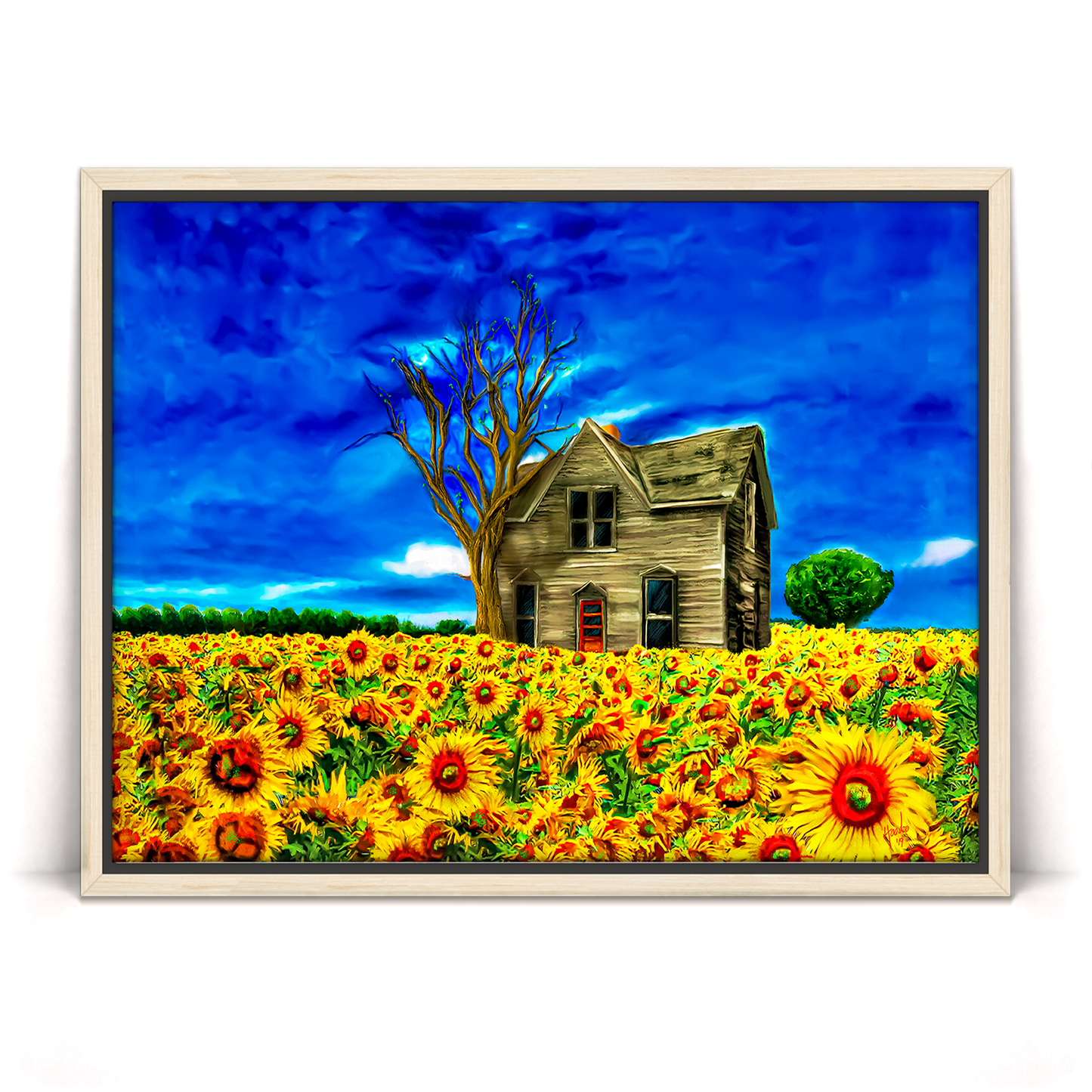 Adopted Home