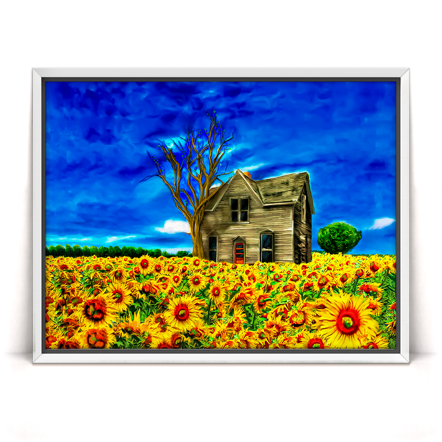 Adopted Home