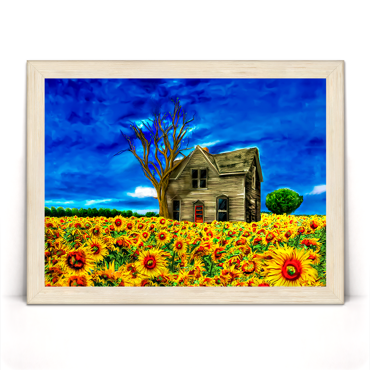 Adopted Home