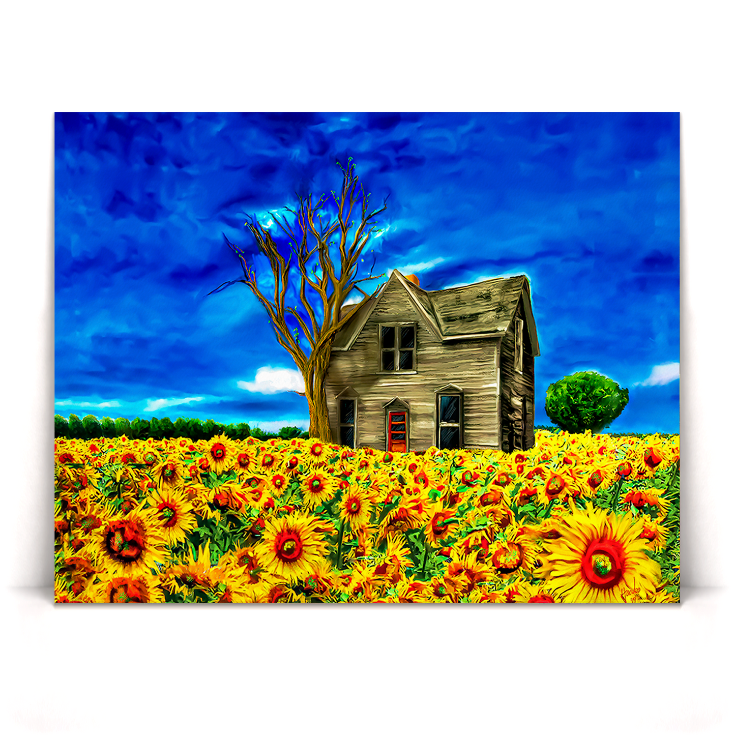 Adopted Home