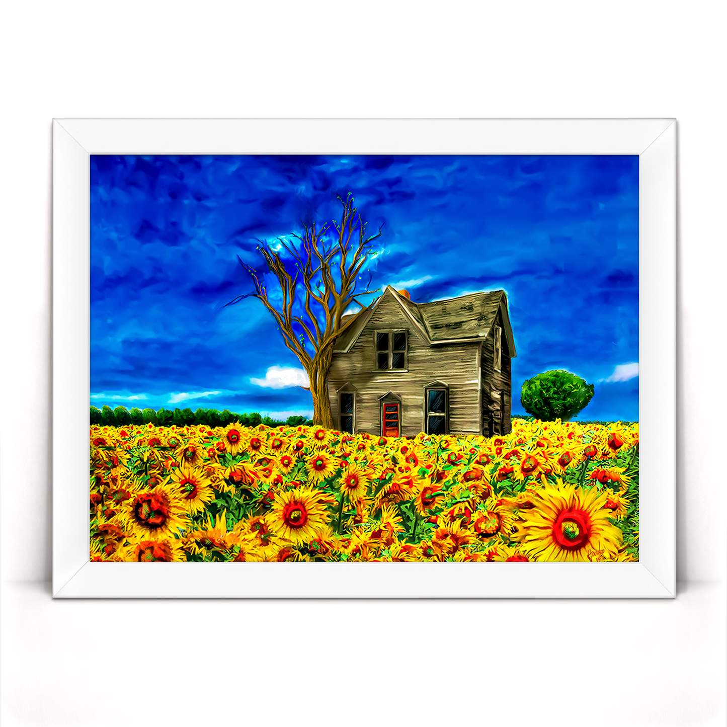 Adopted Home