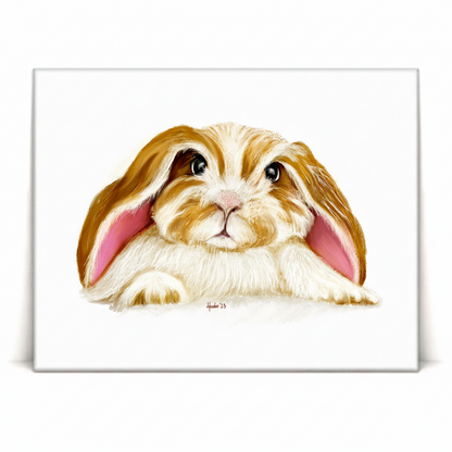 Angora