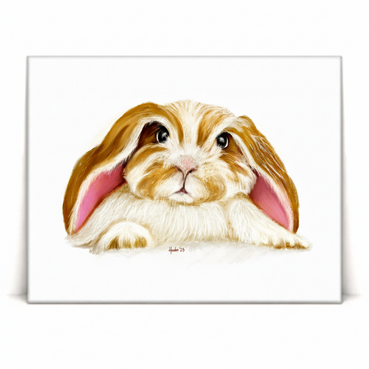 Angora