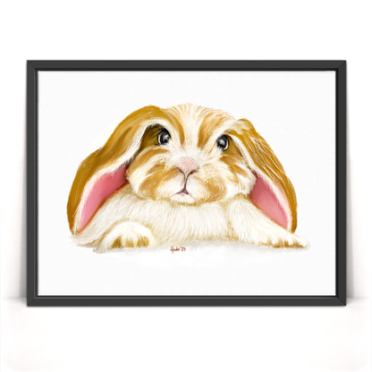 Angora