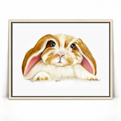 Angora