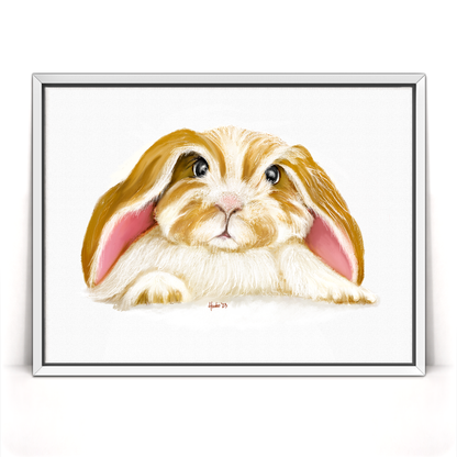 Angora