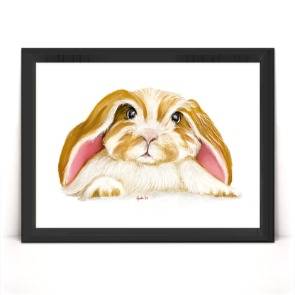 Angora