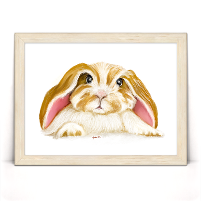 Angora