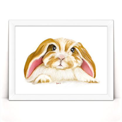 Angora
