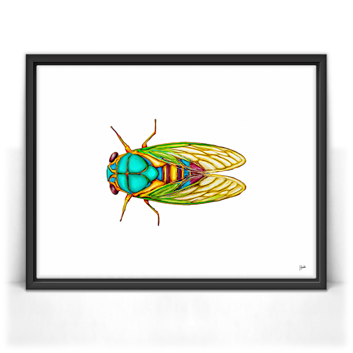 Cicada