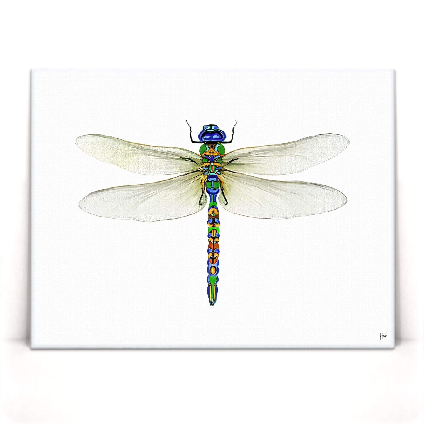 Dragonfly Pinned