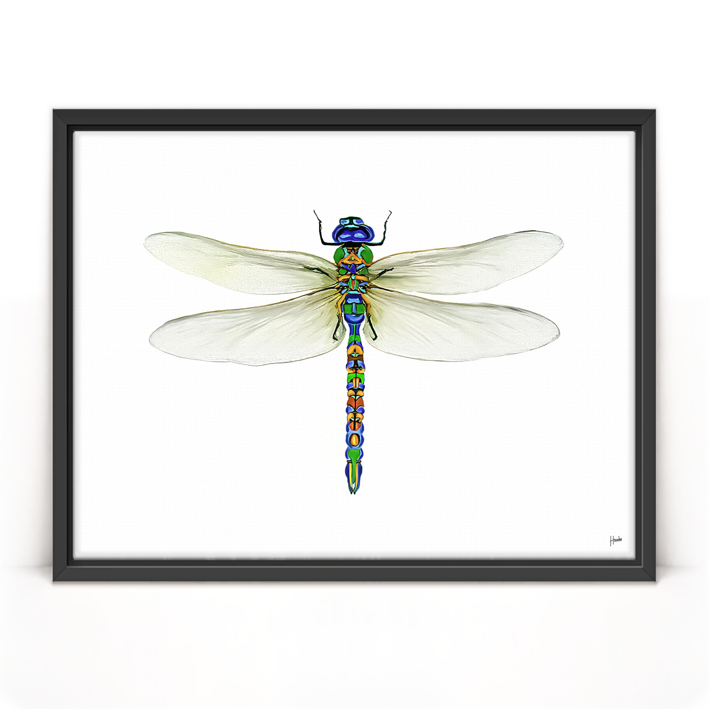 Dragonfly Pinned