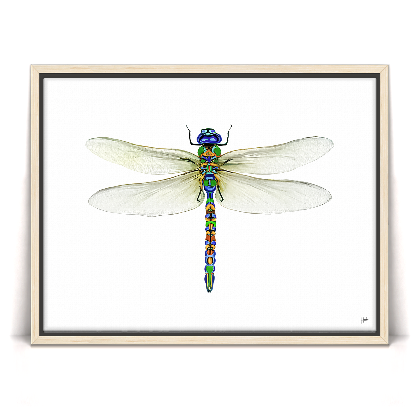 Dragonfly Pinned