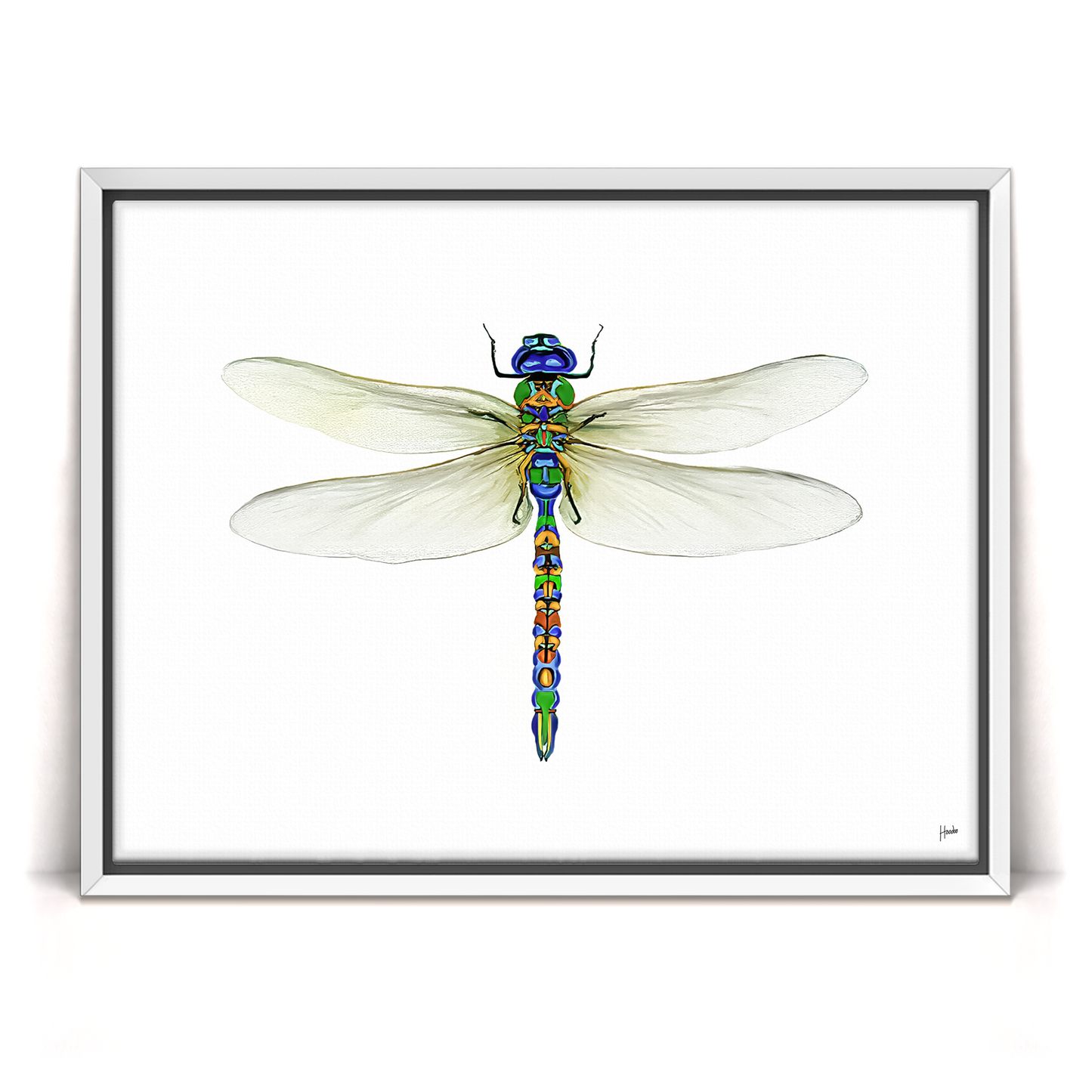Dragonfly Pinned