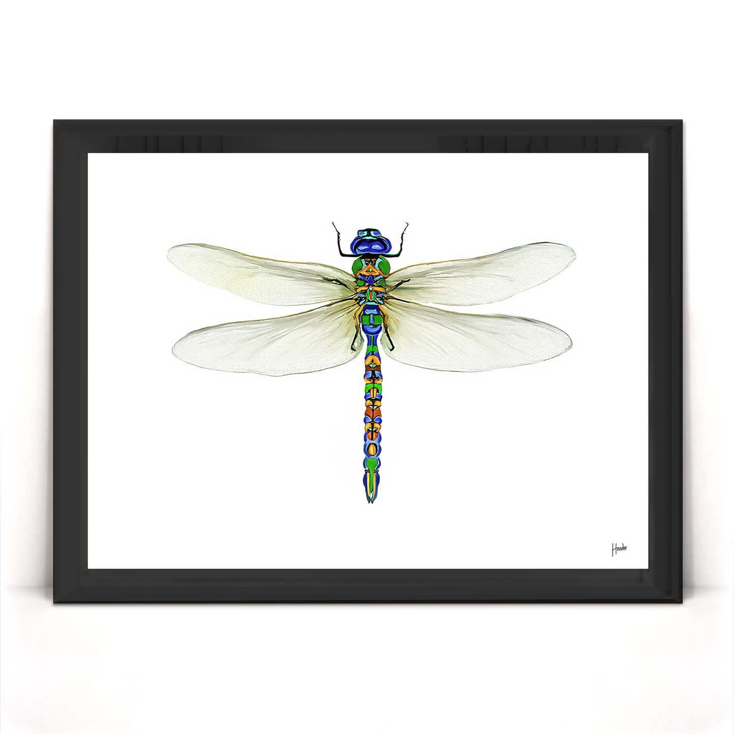 Dragonfly Pinned