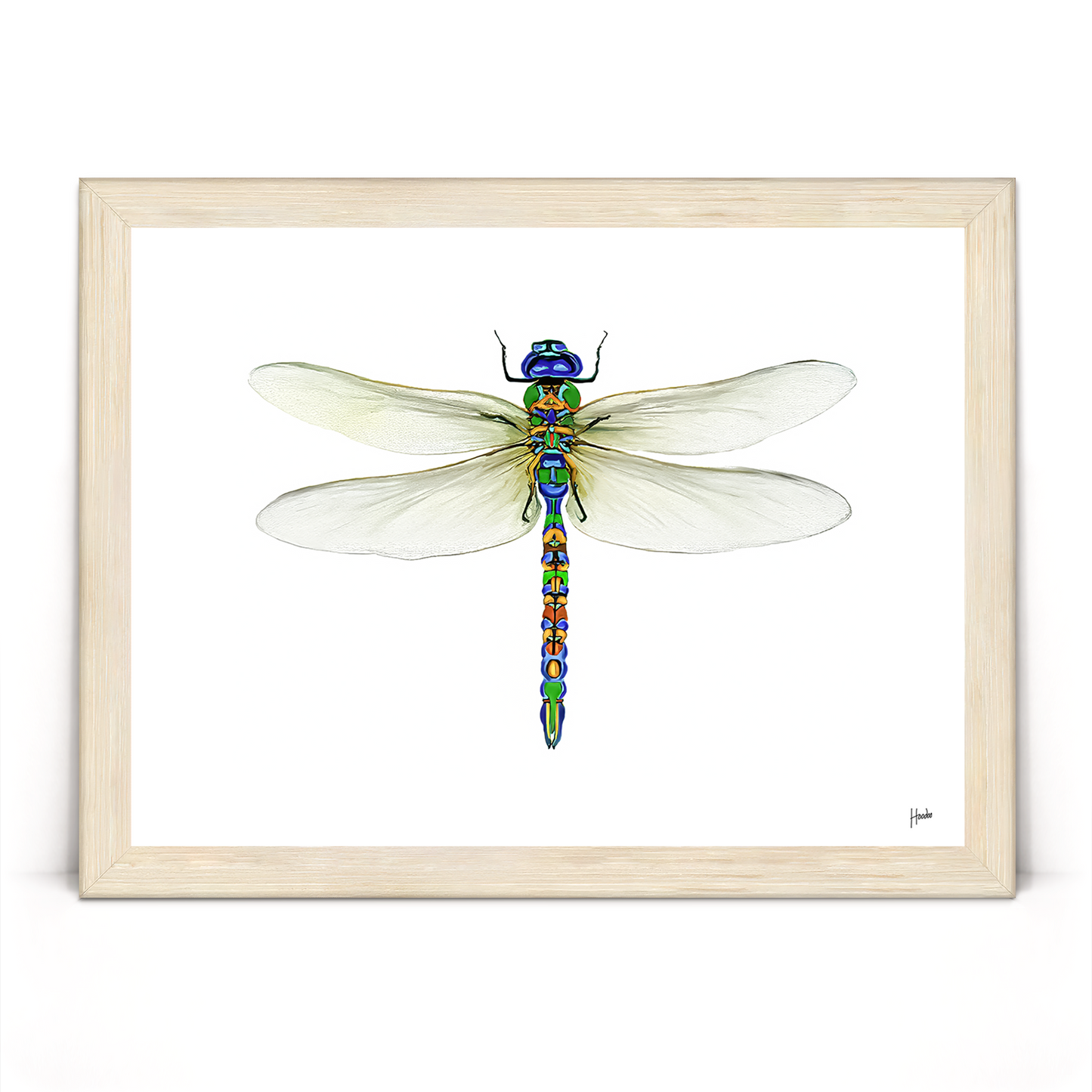 Dragonfly Pinned