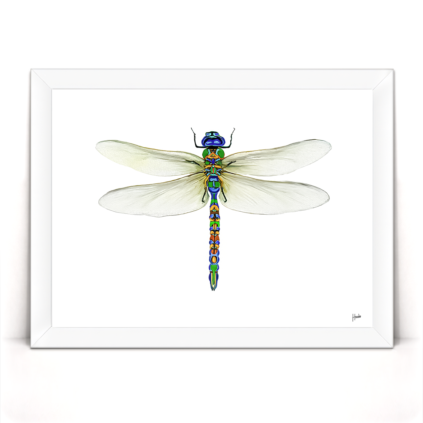 Dragonfly Pinned