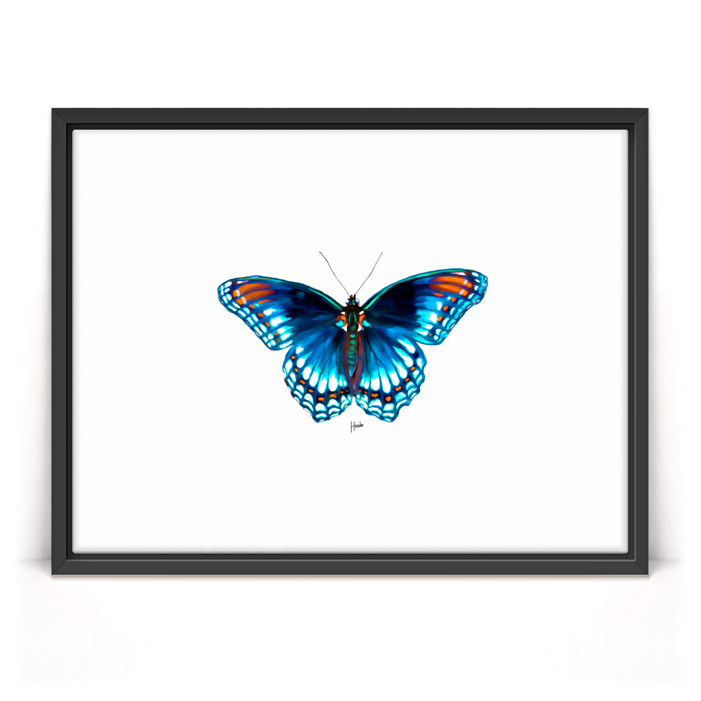 Blue Morpho