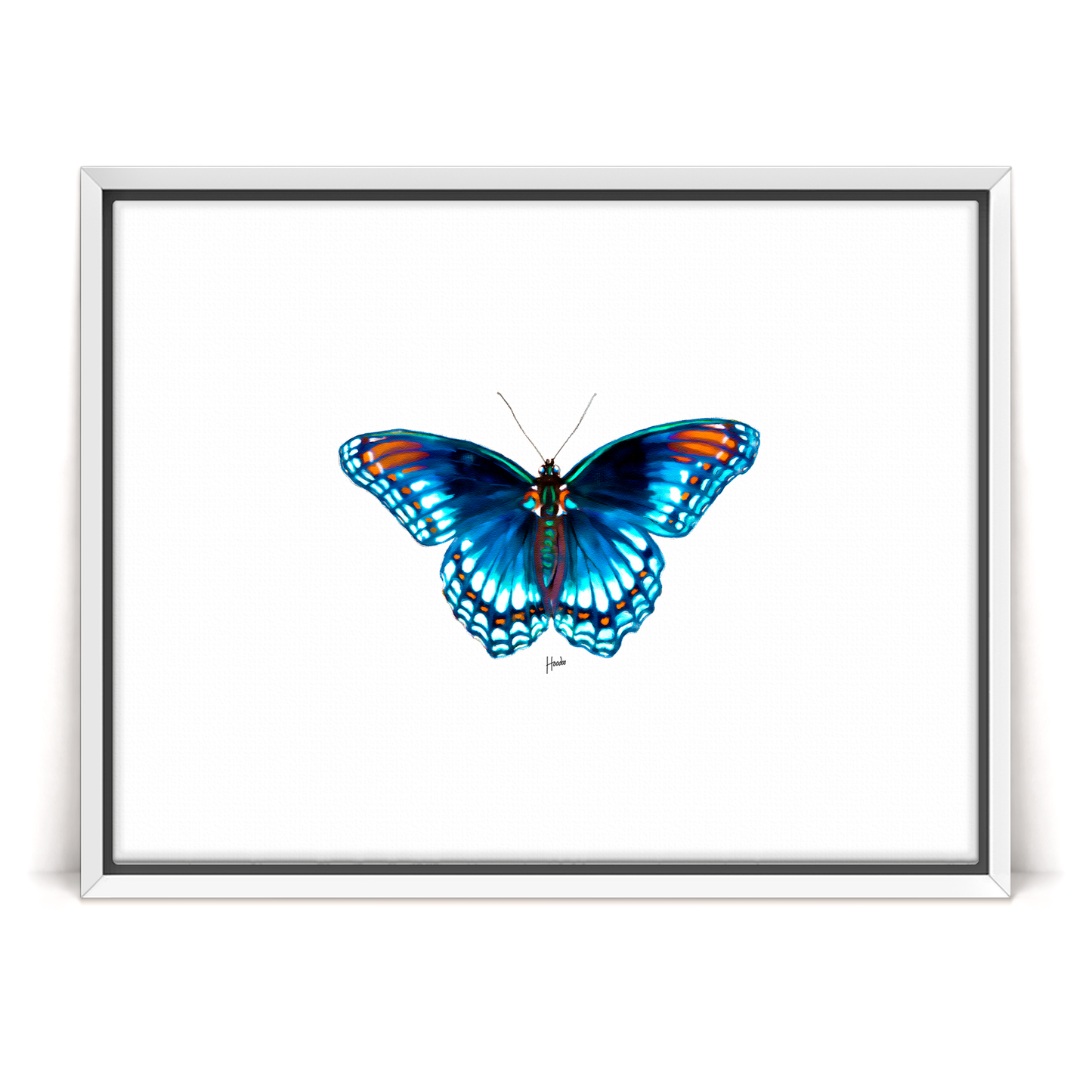 Blue Morpho