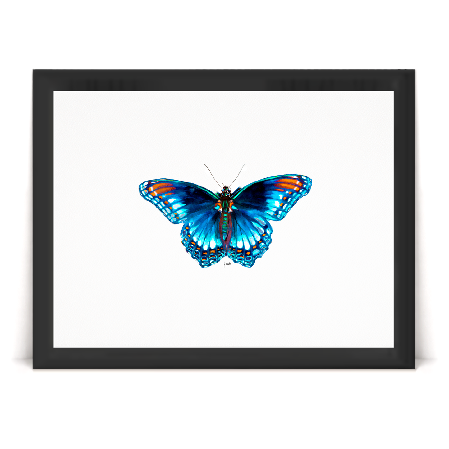 Blue Morpho
