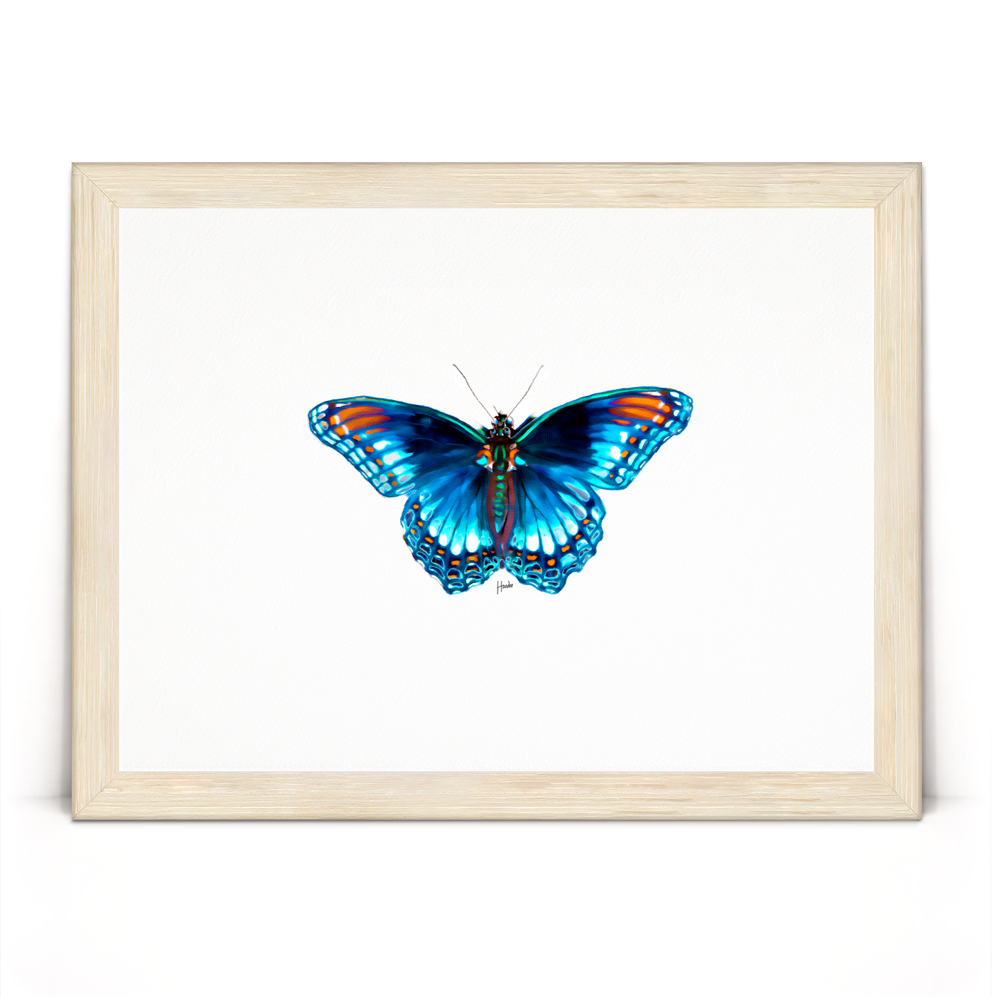 Blue Morpho