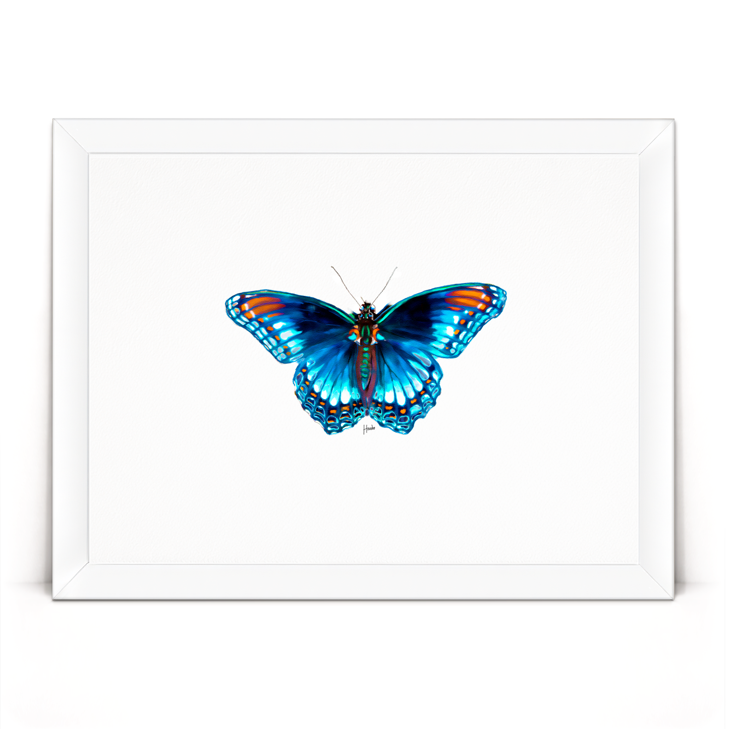 Blue Morpho