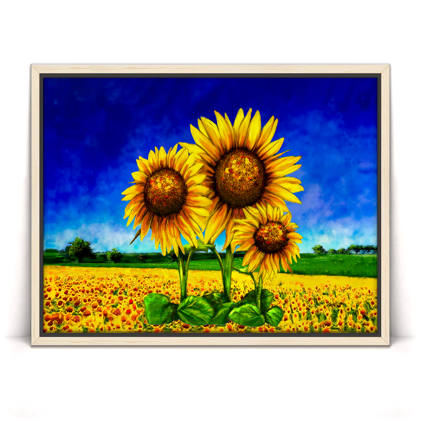 Sam And Sons